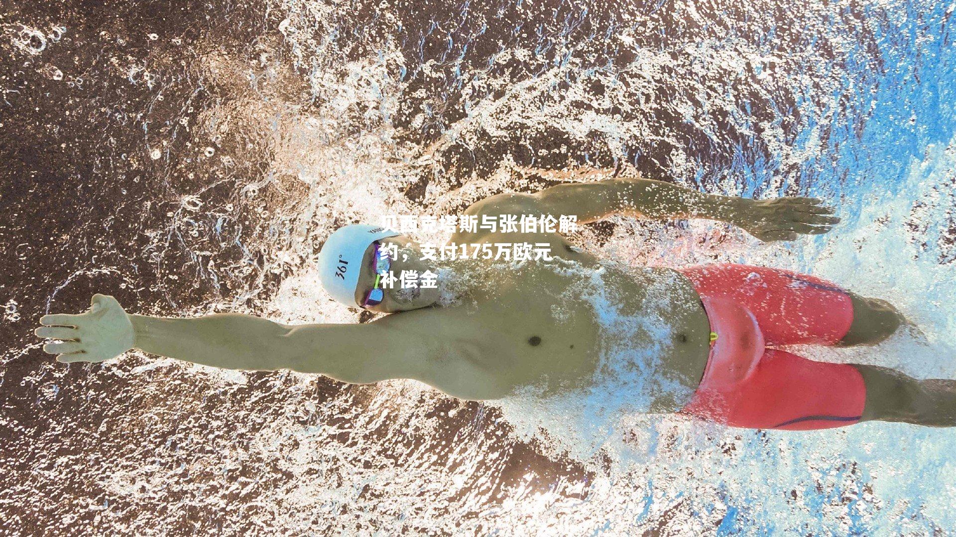 贝西克塔斯与张伯伦解约,支付175万欧元补偿金